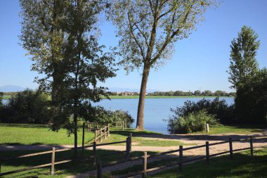 Inlet between trees and reeds by the shore of a lake in a park on a sunny day seen from above