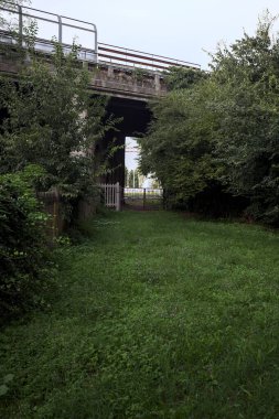 Bridge passing over a railroad in a grove on a cloudy day
