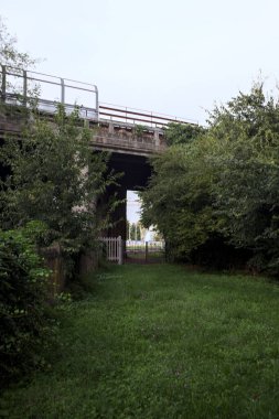 Bridge passing over a railroad in a grove on a cloudy day