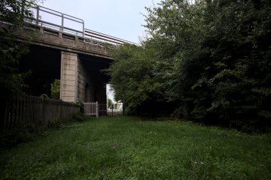 Bridge passing over a railroad in a grove on a cloudy day