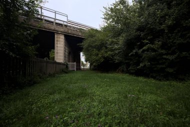 Bridge passing over a railroad in a grove on a cloudy day