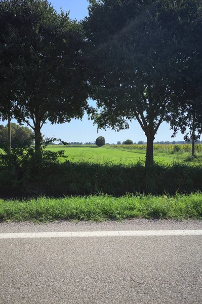 Row of trees by the edge of a meadow with groves and a road in the distance seen from a stream of water