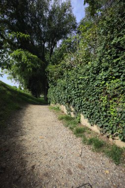 Narrow passage on a trail passing between an embankment and a stone rail with a hedge behind it in a park