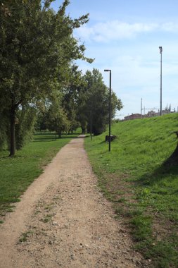 Dirt trail next to an embankment and a lawn dotted with trees in a park by the lakeshore