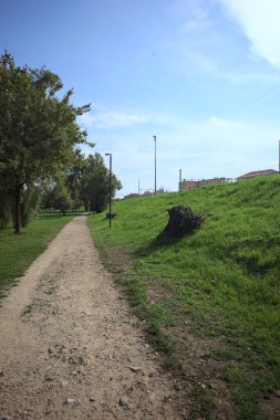 Dirt trail next to an embankment and a lawn dotted with trees in a park by the lakeshore