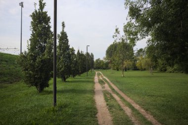 Dirt trail next to an embankment and a lawn dotted with trees in a park by the lakeshore