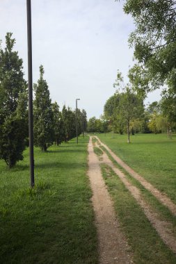 Dirt trail next to an embankment and a lawn dotted with trees in a park by the lakeshore