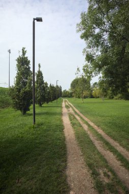 Dirt trail next to an embankment and a lawn dotted with trees in a park by the lakeshore