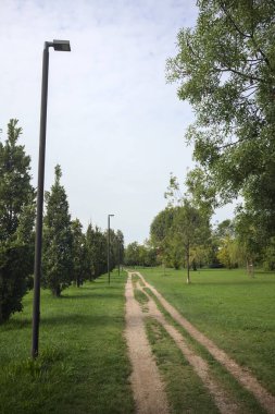 Dirt trail next to an embankment and a lawn dotted with trees in a park by the lakeshore