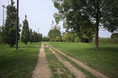 Dirt trail next to an embankment and a lawn dotted with trees in a park by the lakeshore