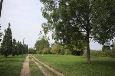 Dirt trail next to an embankment and a lawn dotted with trees in a park by the lakeshore