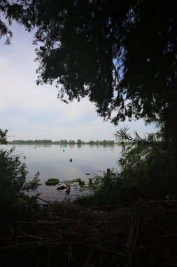 Lake with floating buoys and the sky casted on the water seen and framed by trees on the lakeshore