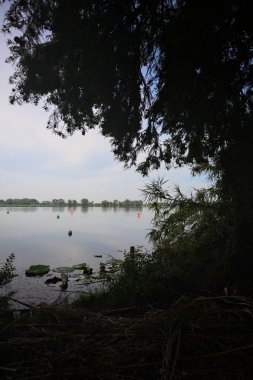 Lake with floating buoys and the sky casted on the water seen and framed by trees on the lakeshore
