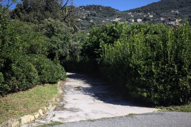 Trail in a garden bordered by bushes with a mountain ridge dotted with buildings on a sunny day seen from a paved trail