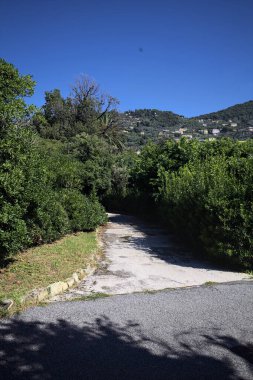 Trail in a garden bordered by bushes with a mountain ridge dotted with buildings on a sunny day seen from a paved trail