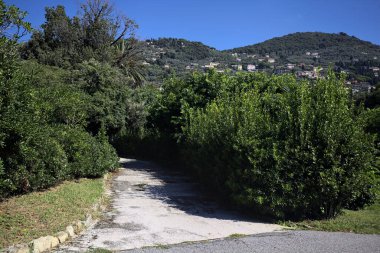 Trail in a garden bordered by bushes with a mountain ridge dotted with buildings on a sunny day seen from a paved trail
