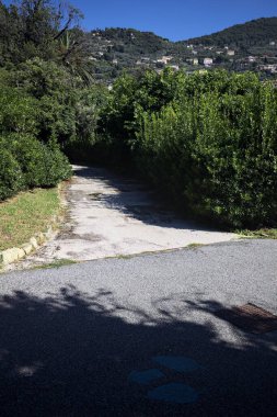 Trail in a garden bordered by bushes with a mountain ridge dotted with buildings on a sunny day seen from a paved trail