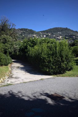Trail in a garden bordered by bushes with a mountain ridge dotted with buildings on a sunny day seen from a paved trail