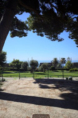 Balcony with maritime pines in a park by the seaside on a sunny day