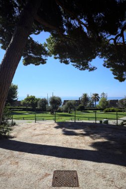 Balcony with maritime pines in a park by the seaside on a sunny day