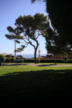Bir İtalyan kasabasının parkında, deniz ve deniz çimleri ile çevrili.