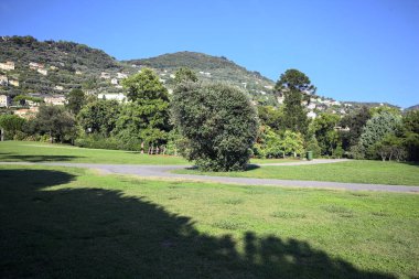 Lawn splitted by paved trail with bushes and trees in the background