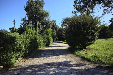 Trail bordered by trimmed hedges and trees in a park on a sunny day