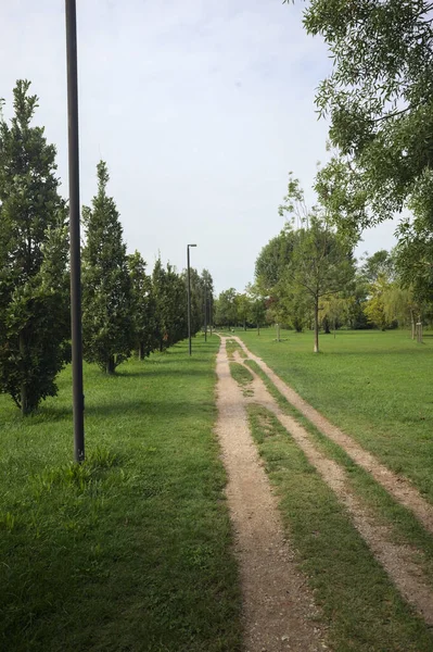 Dirt trail next to an embankment and a lawn dotted with trees in a park by the lakeshore