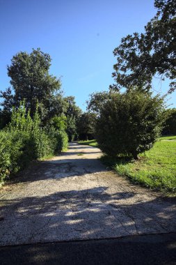 Trail bordered by trimmed hedges and trees in a park on a sunny day