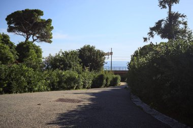 Paved trail between lawns with trees bordered by hedges at sunset in a park with the sea in the distance framed by plants
