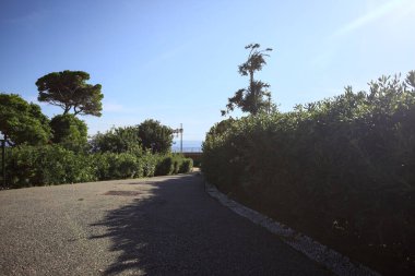 Paved trail between lawns with trees bordered by hedges at sunset in a park with the sea in the distance framed by plants
