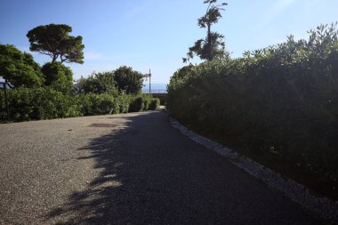 Paved trail between lawns with trees bordered by hedges at sunset in a park with the sea in the distance framed by plants