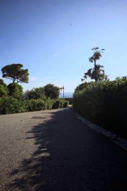 Paved trail between lawns with trees bordered by hedges at sunset in a park with the sea in the distance framed by plants