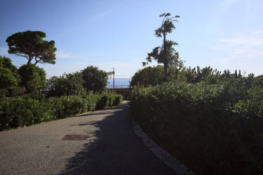 Paved trail between lawns with trees bordered by hedges at sunset in a park with the sea in the distance framed by plants