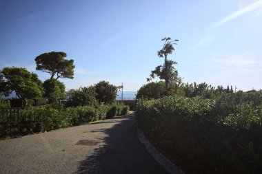 Paved trail between lawns with trees bordered by hedges at sunset in a park with the sea in the distance framed by plants