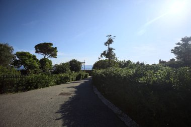 Paved trail between lawns with trees bordered by hedges at sunset in a park with the sea in the distance framed by plants