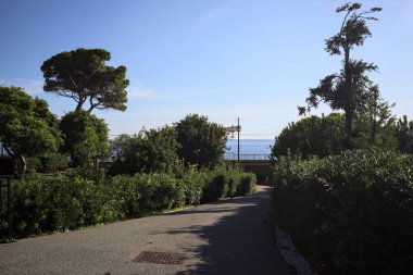 Paved trail between lawns with trees bordered by hedges at sunset in a park with the sea in the distance framed by plants