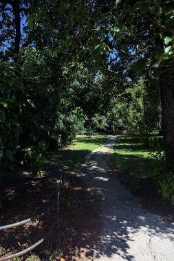 Narrow trail in the shade made by trees and bordered by a metallic rail in a park on a sunny day seen at its beginning