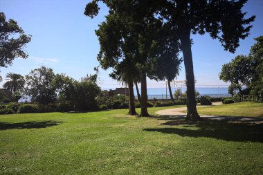 Trail bordered by a row of trees next to a lawn on a sunny day in a park by the sea clearly visible in the background