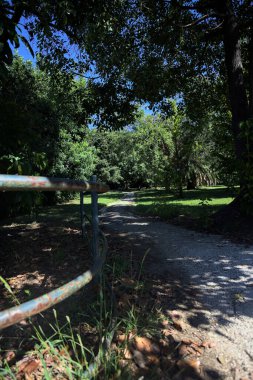 Narrow trail in the shade made by trees and bordered by a metallic rail in a park on a sunny day seen at its beginning
