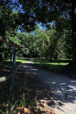 Narrow trail in the shade made by trees and bordered by a metallic rail in a park on a sunny day seen at its beginning
