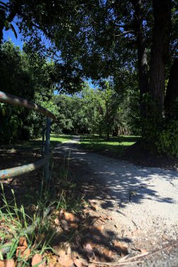 Narrow trail in the shade made by trees and bordered by a metallic rail in a park on a sunny day seen at its beginning