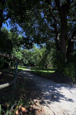 Narrow trail in the shade made by trees and bordered by a metallic rail in a park on a sunny day seen at its beginning