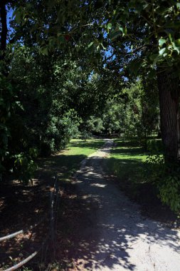 Narrow trail in the shade made by trees and bordered by a metallic rail in a park on a sunny day seen at its beginning
