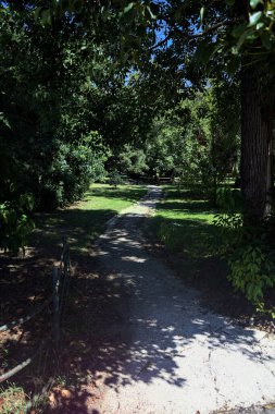Narrow trail in the shade made by trees and bordered by a metallic rail in a park on a sunny day seen at its beginning