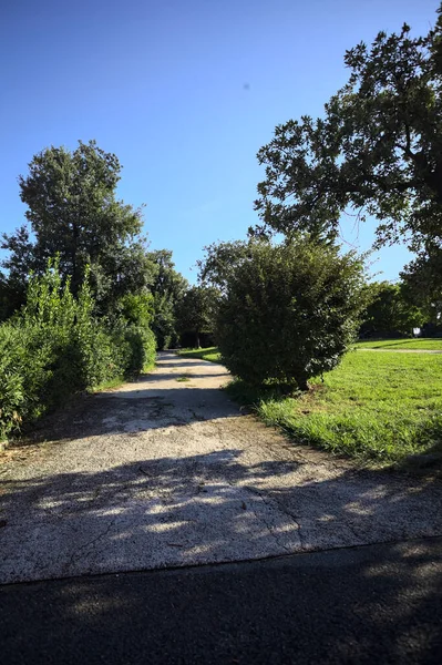Trail bordered by trimmed hedges and trees in a park on a sunny day