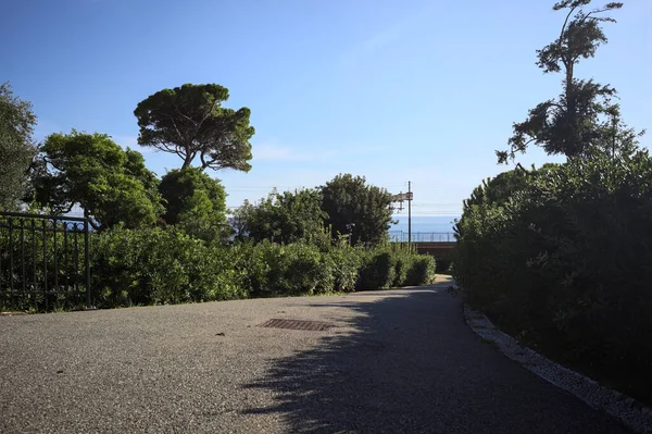Paved trail between lawns with trees bordered by hedges at sunset in a park with the sea in the distance framed by plants