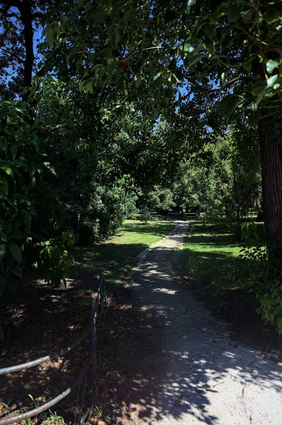 Narrow trail in the shade made by trees and bordered by a metallic rail in a park on a sunny day seen at its beginning