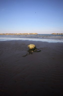 Gün batımında dalgalar çekildiğinde şamandıra sahilde uzanıyordu.