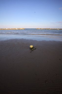 Gün batımında dalgalar çekildiğinde şamandıra sahilde uzanıyordu.